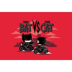 Umělecký tisk Bat vs Cat, (40 x 26.7 cm)