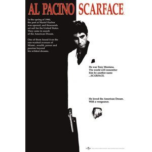 Plakát, Obraz - Scarface - movie, (61 x 91.5 cm)