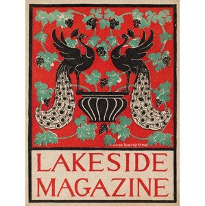 Obrazová reprodukce Lakeside Magazine (Black & Red Peacocks), (30 x 40 cm)