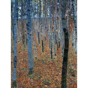 Obrazová reprodukce Beech Grove (Vintage Trees) - Gustav Klimt, (30 x 40 cm)