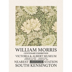 Obrazová reprodukce Chrysanthemum (Special Edition) - William Morris, (30 x 40 cm)
