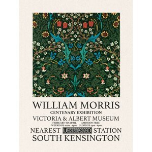 Obrazová reprodukce Tulip (Special Edition) - William Morris, (30 x 40 cm)