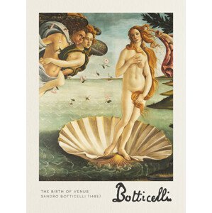 Obrazová reprodukce The Birth of Venus - Sandro Botticelli, (30 x 40 cm)