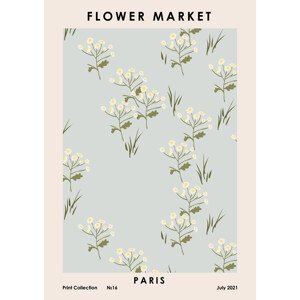 Ilustrace Flower Market Paris, Anastasiya, (30 x 40 cm)