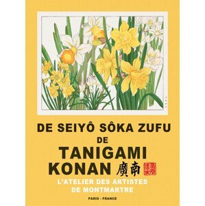 Obrazová reprodukce Daffodils (Special Edition Japandi Florals) - Tanigami Konan, (30 x 40 cm)