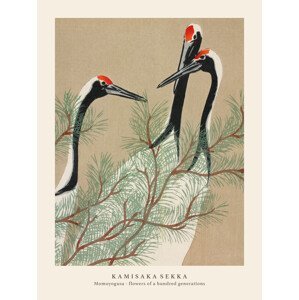 Obrazová reprodukce Cranes (Special Edition Japandi Vintage) - Kamisaka Sekka, (30 x 40 cm)