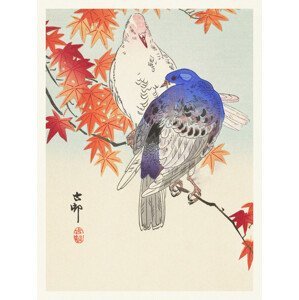 Obrazová reprodukce Two Pigeons (Japandi Vintage) - Ohara Koson, (30 x 40 cm)
