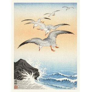 Obrazová reprodukce Flock of Seagulls (Japandi Vintage) - Ohara Koson, (30 x 40 cm)