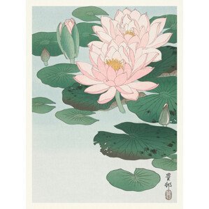 Obrazová reprodukce Water Lily / Lotus (Japandi Vintage) - Ohara Koson, (30 x 40 cm)