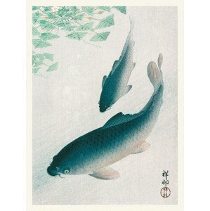 Obrazová reprodukce Two Carp Fish (Japandi Vintage) - Ohara Koson, (30 x 40 cm)