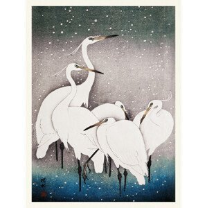 Obrazová reprodukce Group of Egrets (Japandi Vintage) - Ohara Koson, (30 x 40 cm)