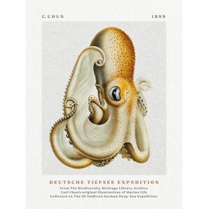 Obrazová reprodukce Deutsche Tiefsee Expedition Poster No.1 (Vintage Octopus) - Carl Chun, (30 x 40 cm)