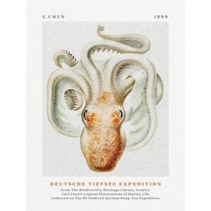 Obrazová reprodukce Deutsche Tiefsee Expedition Poster No.2 (Vintage Octopus) - Carl Chun, (30 x 40 cm)