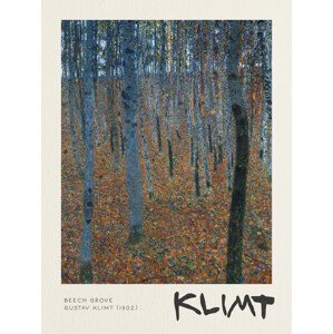 Obrazová reprodukce Beech Grove - Gustav Klimt, (30 x 40 cm)