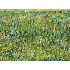 Obrazová reprodukce A Patch of Grass - Vincent van Gogh, (40 x 30 cm)