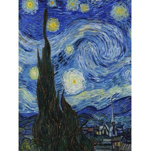 Obrazová reprodukce The Starry Night (Portrait Edition) - Vincent van Gogh, (30 x 40 cm)