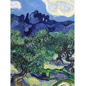 Obrazová reprodukce The Olive Trees (Portrait Edition) - Vincent van Gogh, (30 x 40 cm)