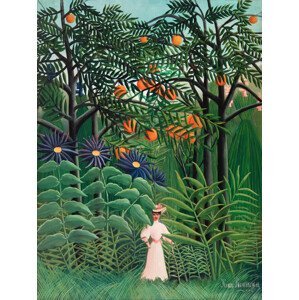 Obrazová reprodukce Walking in the Exotic Forest - Henri Rousseau, (30 x 40 cm)