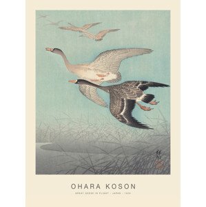 Obrazová reprodukce Great geese in flight (Special Edition) - Ohara Koson, (30 x 40 cm)