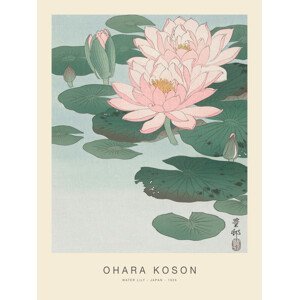 Obrazová reprodukce Water Lily (Special Edition) - Ohara Koson, (30 x 40 cm)