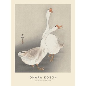 Obrazová reprodukce Two Geese (Special Edition) - Ohara Koson, (30 x 40 cm)
