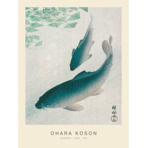 Obrazová reprodukce Nishikigoi, Two Koi Carp Fish (Special Edition) - Ohara Koson, (30 x 40 cm)