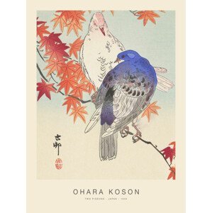 Obrazová reprodukce Two Pigeons (Special Edition) - Ohara Koson, (30 x 40 cm)