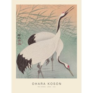 Obrazová reprodukce Two Cranes (Special Edition) - Ohara Koson, (30 x 40 cm)