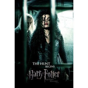 Umělecký tisk Harry Potter - The hunt begins, (26.7 x 40 cm)