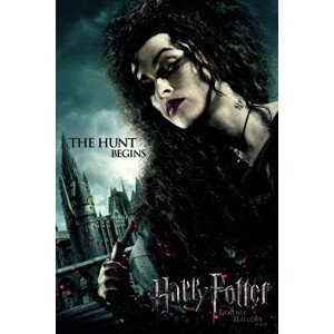Umělecký tisk Harry Potter - Bellatrix, (26.7 x 40 cm)