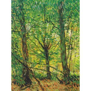 Obrazová reprodukce Trees & Underwood (Vintage Landscape)  - Vincent van Gogh, (30 x 40 cm)