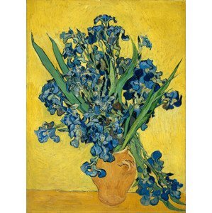 Obrazová reprodukce Irises (Vintage Flowers) - Vincent van Gogh, (30 x 40 cm)