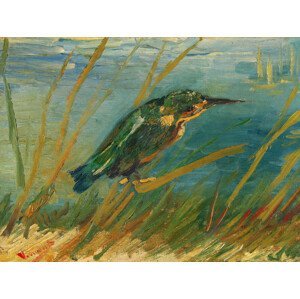 Obrazová reprodukce Kingfisher by the Waterside (Vintage Wildlife) - Vincent van Gogh, (40 x 30 cm)