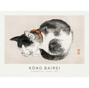 Obrazová reprodukce Sleeping Cat (Special Edition Japandi) - Kōno Bairei, (40 x 30 cm)