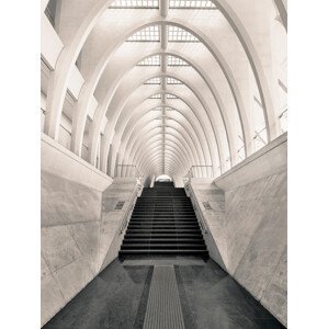 Umělecká fotografie Inside Calatrava, Oscar Lopez, (30 x 40 cm)