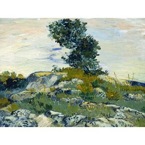 Obrazová reprodukce The Rocks & The Oak (Vintage Landscape) - Vincent van Gogh, (40 x 30 cm)