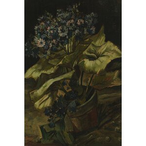Obrazová reprodukce Cineraria (Dark Gothic Floral) - Vincent van Gogh, (26.7 x 40 cm)