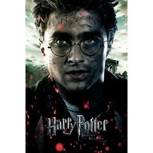 Umělecký tisk Harry Potter - Deathly Hallows, (26.7 x 40 cm)