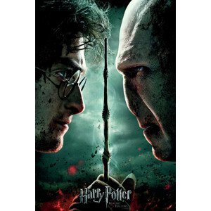 Plakát, Obraz - Harry Potter - Relikvie smrti, (80 x 120 cm)