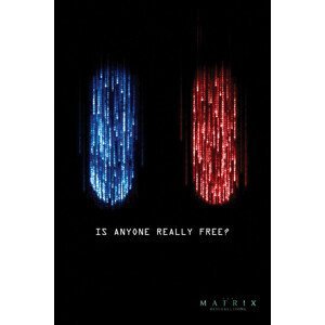 Plakát, Obraz - Matrix - Je někdo opravdu volný?, (80 x 120 cm)