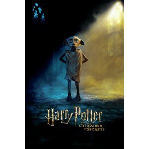 Plakát, Obraz - Harry Potter - Dobby, (80 x 120 cm)