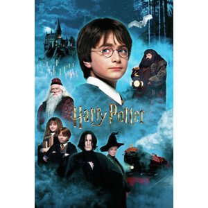 Plakát, Obraz - Harry Potter - Kámen mudrců, (80 x 120 cm)