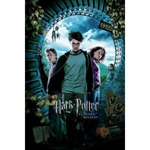 Plakát, Obraz - Harry Potter - Vězeň z Azkabanu, (80 x 120 cm)