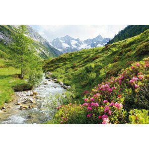 Plakát, Obraz - Alps - Nature and Mountains, (120 x 80 cm)