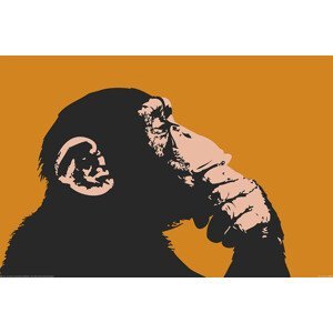 Plakát, Obraz - Monkey - Thinking, 120x80 cm