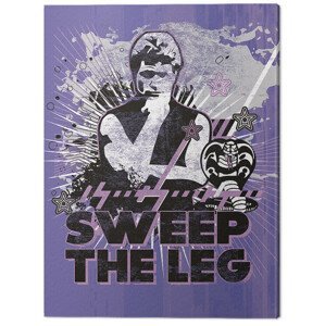 Obraz na plátně Cobra Kai - Sweep the Leg, (30 x 40 cm)