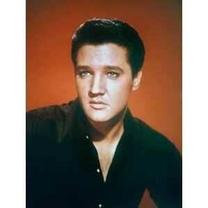 Umělecká fotografie Elvis Presley 1963, (30 x 40 cm)