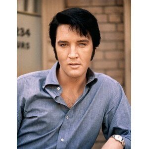 Umělecká fotografie Elvis Presley 1970, (30 x 40 cm)