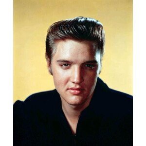 Umělecká fotografie Elvis Presley 1956, (35 x 40 cm)