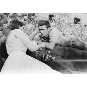 Umělecká fotografie East Of Eden directed by Elia Kazan, 1954, (40 x 26.7 cm)